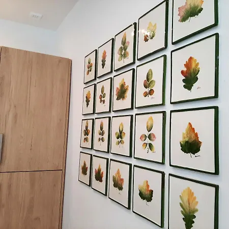 Cozy In With Terrace