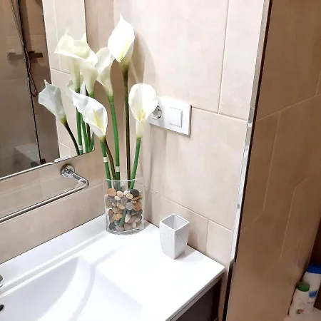 Daire Cozy In With Terrace Cadiz